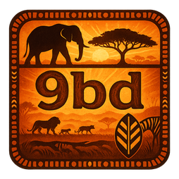 9bd দ্রুত অ্যাক্সেস